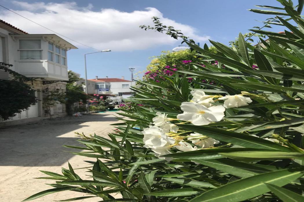 Beyaz Ev Hotel Alaçatı Eksteriør billede